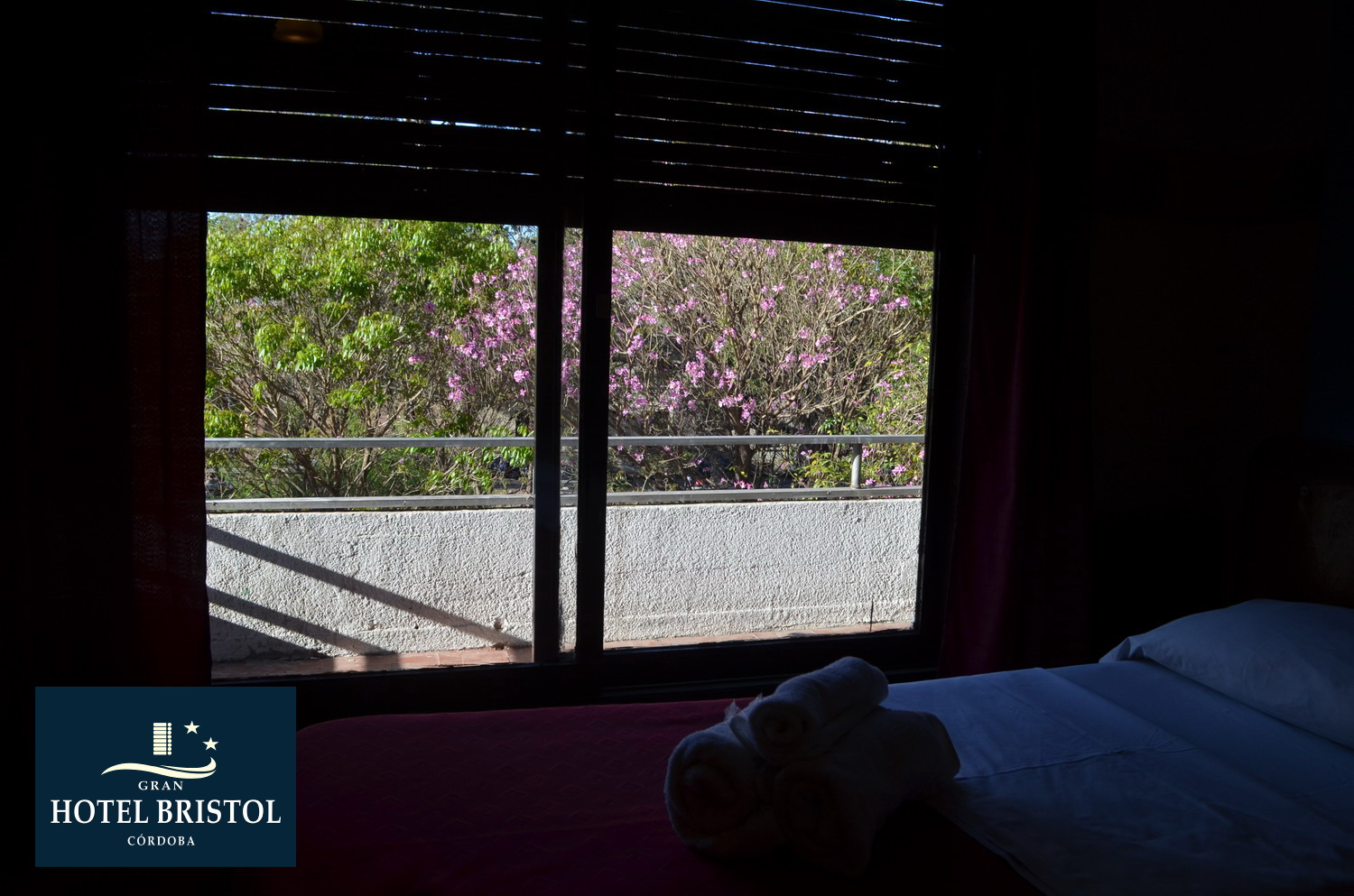 hotel-bristol-cordoba-23